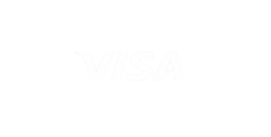 visa png 2